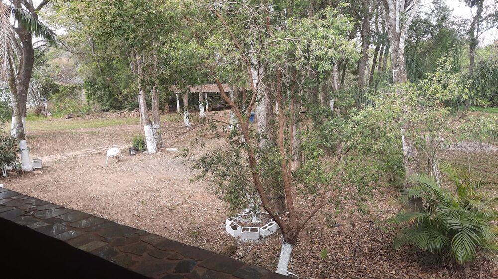 Chácara, 5 quartos, 2600 m² - Foto 5