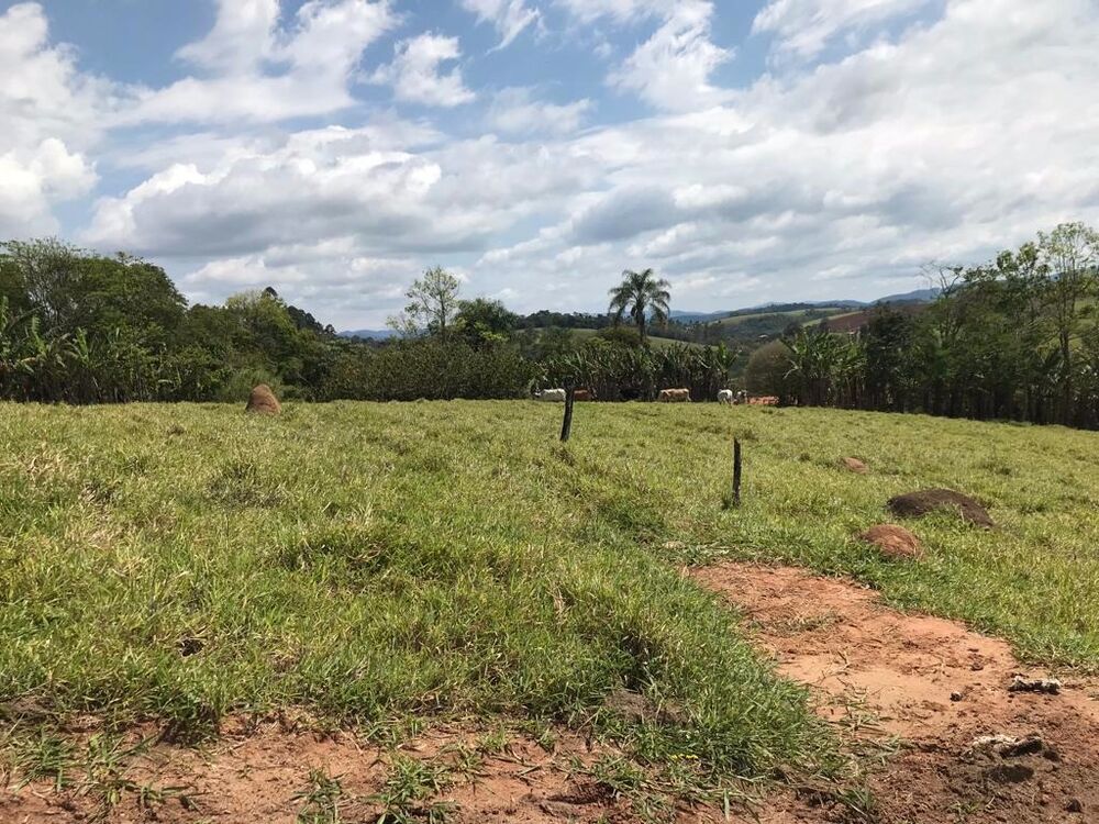 Fazenda, 3000 m² - Foto 1