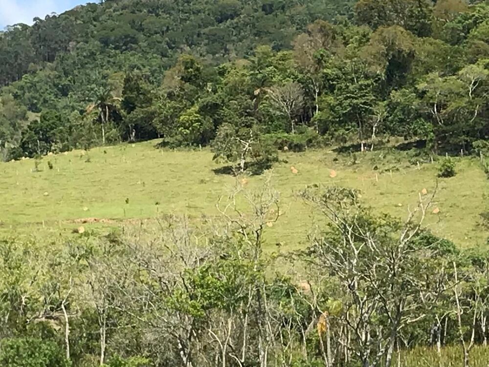 Fazenda, 3000 m² - Foto 3