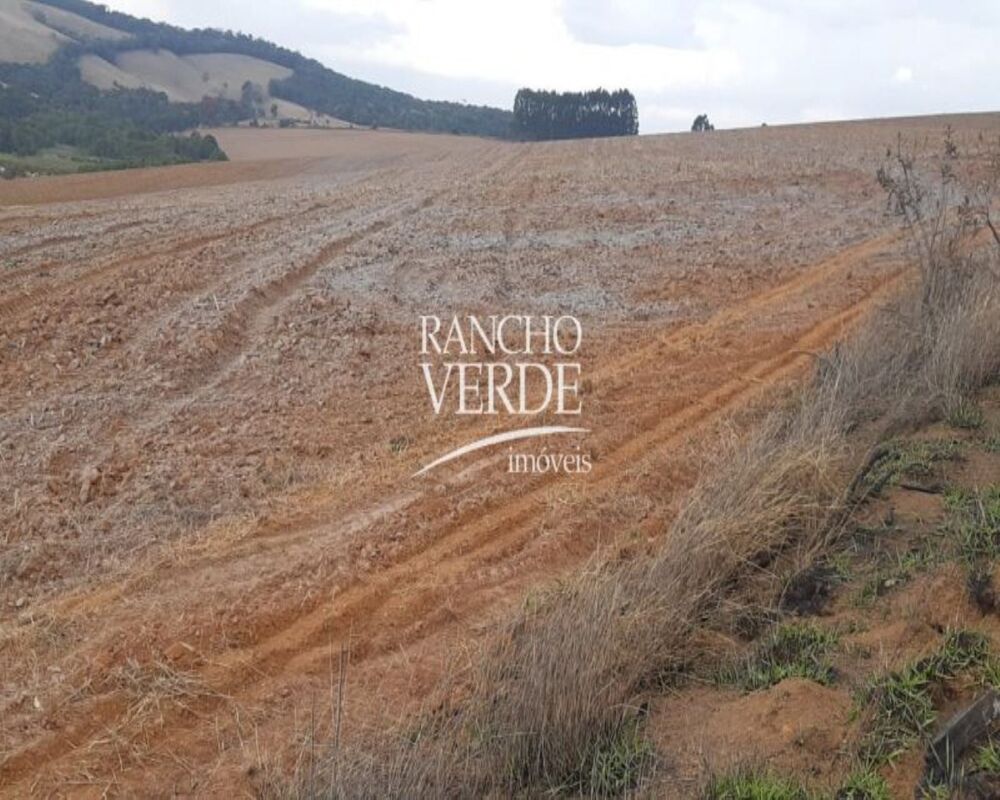 Fazenda, 169 hectares - Foto 3