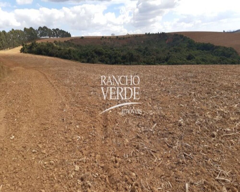 Fazenda, 169 hectares - Foto 6