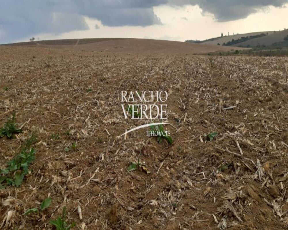 Fazenda, 169 hectares - Foto 5