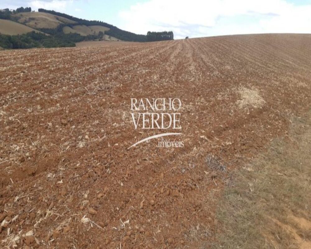 Fazenda, 169 hectares - Foto 1