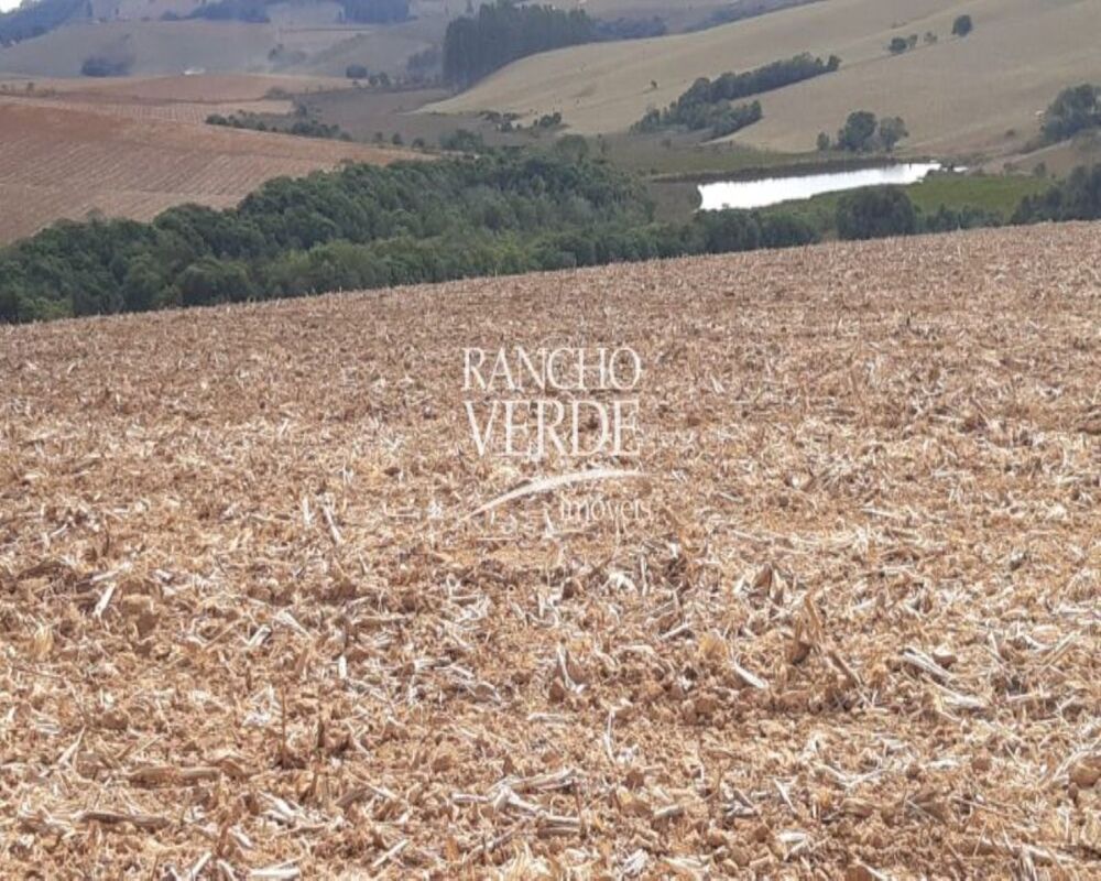 Fazenda, 169 hectares - Foto 2