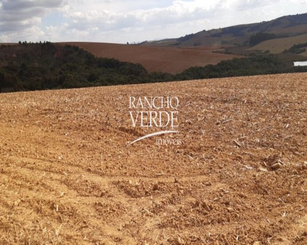 Fazenda, 169 hectares - Foto 4