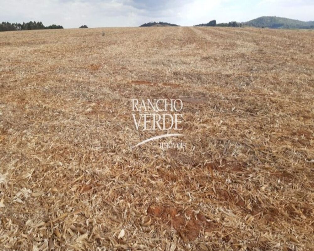 Fazenda, 169 hectares - Foto 8