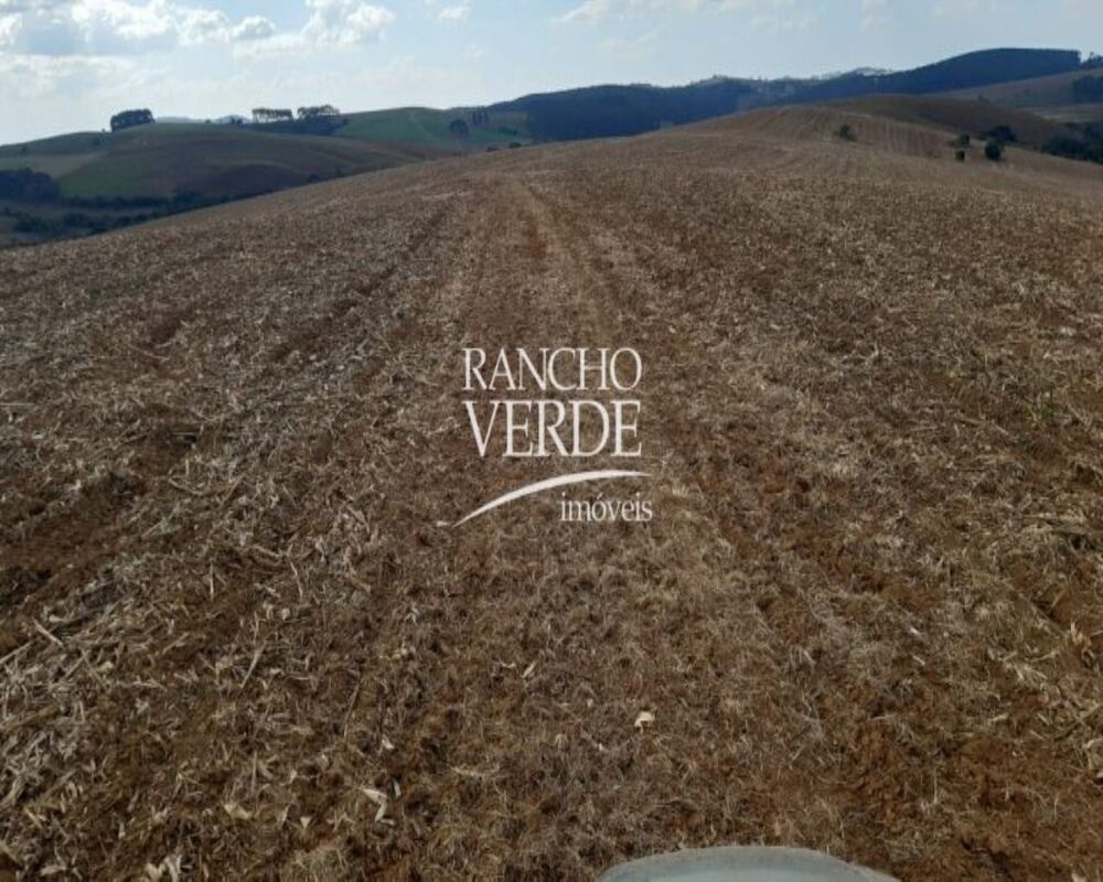 Fazenda, 169 hectares - Foto 7