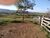 Fazenda-Sítio-Chácara, 9 m² - Foto 2