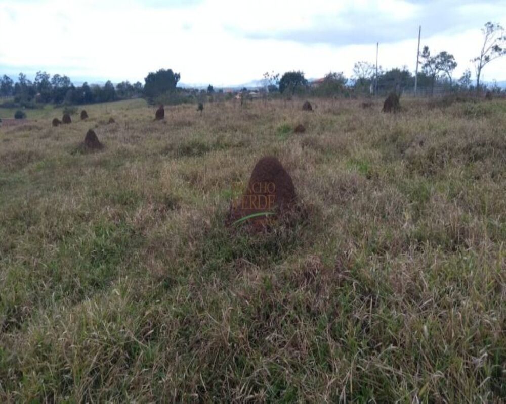 Fazenda-Sítio-Chácara, 3 m² - Foto 3