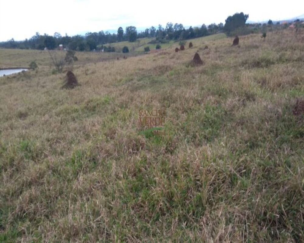 Fazenda-Sítio-Chácara, 3 m² - Foto 4