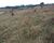 Fazenda, 3 m² - Foto 4