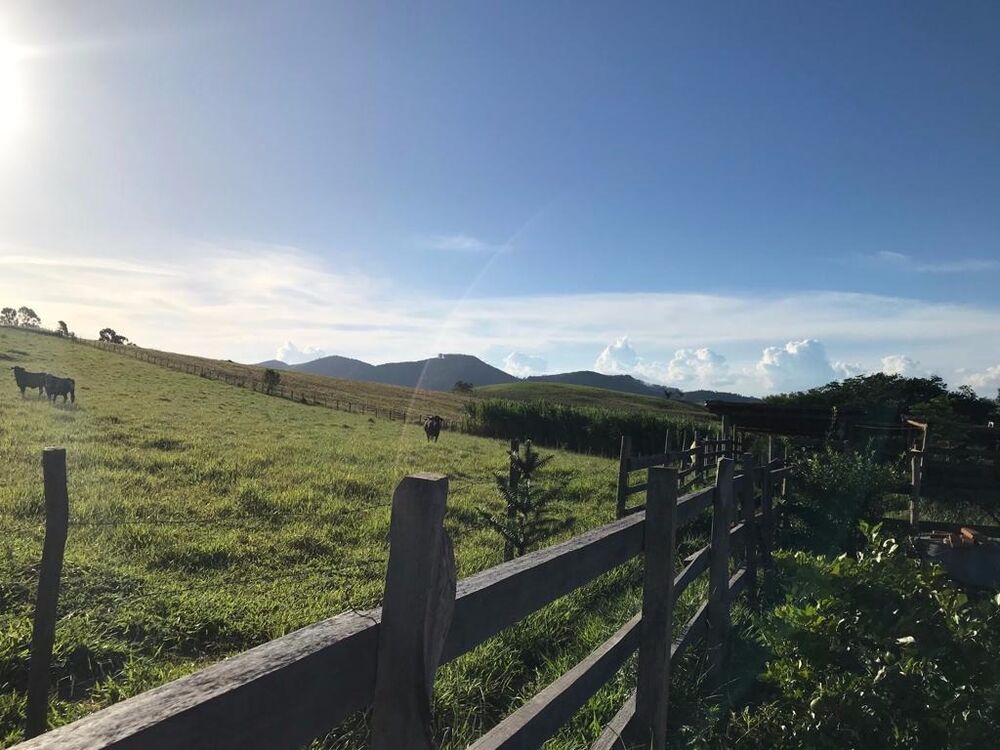 Chácara, 2 quartos, 7000 m² - Foto 8