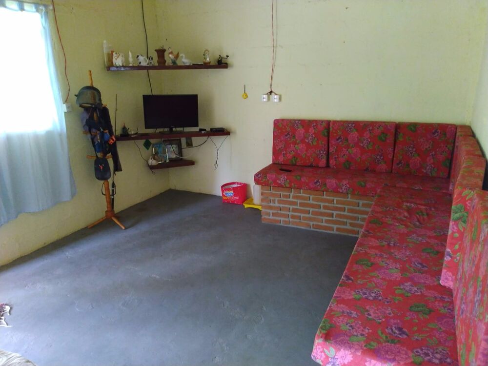 Sítio, 4 hectares - Foto 2