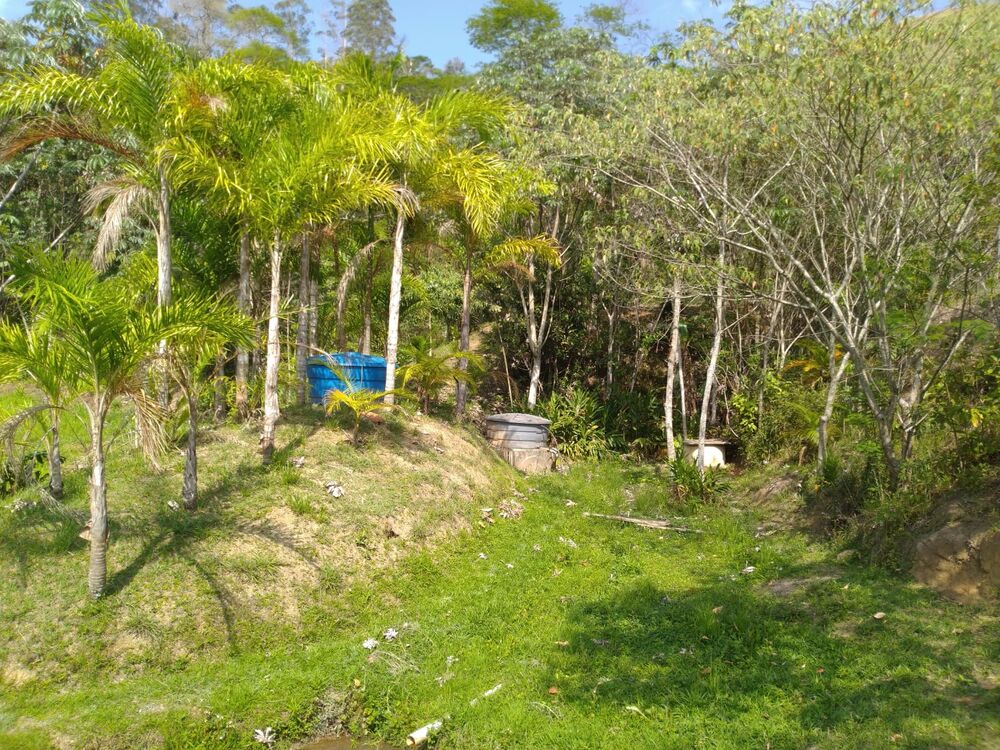 Sítio, 4 hectares - Foto 4