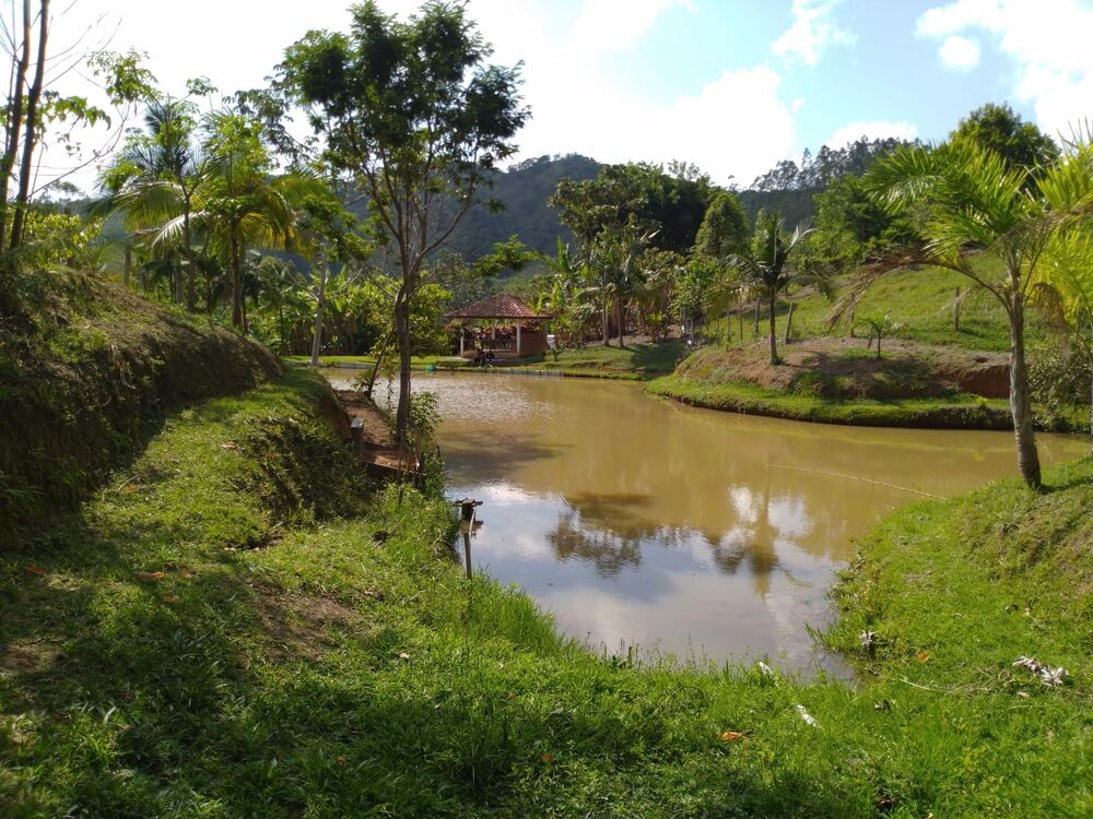 Sítio, 4 hectares - Foto 1