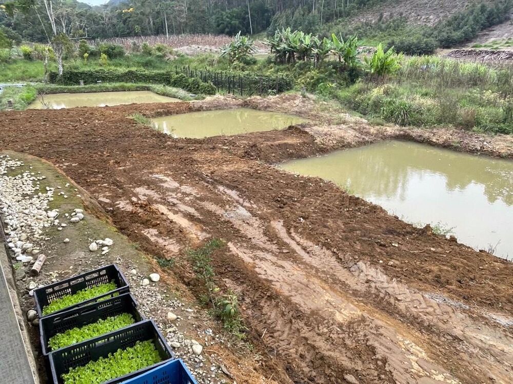 Chácara, 2 quartos, 5000 m² - Foto 2
