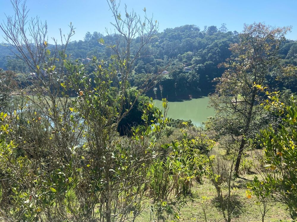 Chácara, 2 quartos, 5000 m² - Foto 14