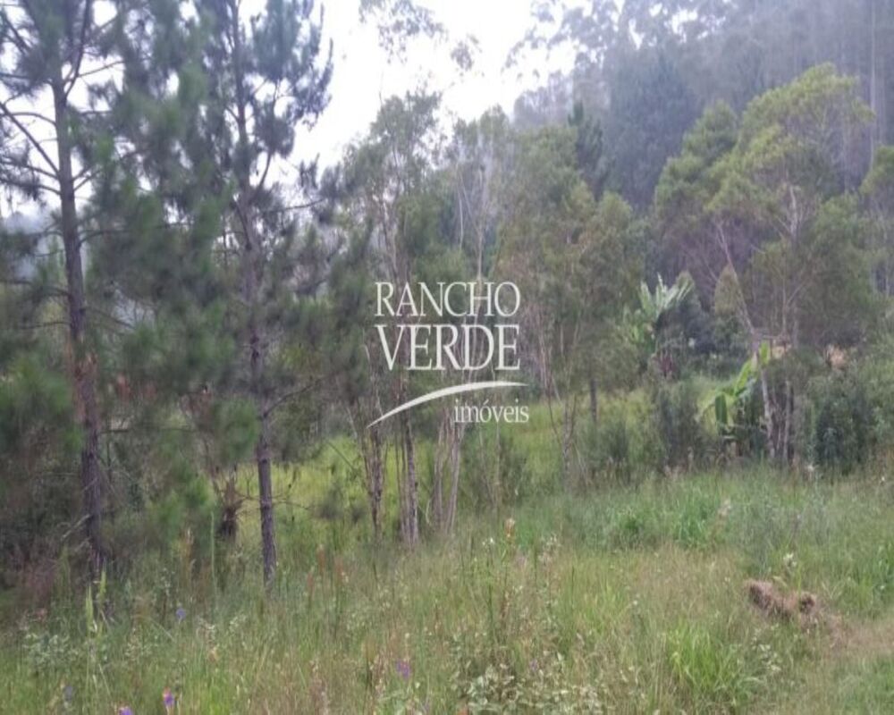 Sítio à venda com 4 quartos, 30108m² - Foto 23