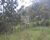 Sítio, 4 quartos, 3 hectares - Foto 23
