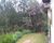 Sítio, 4 quartos, 3 hectares - Foto 4