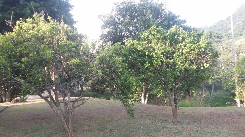 Chácara à venda com 2 quartos, 7234m² - Foto 4