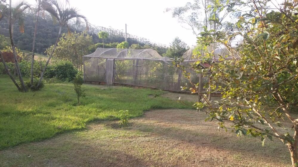 Chácara à venda com 2 quartos, 7234m² - Foto 12