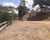 Chácara, 2 quartos, 1 hectares - Foto 1