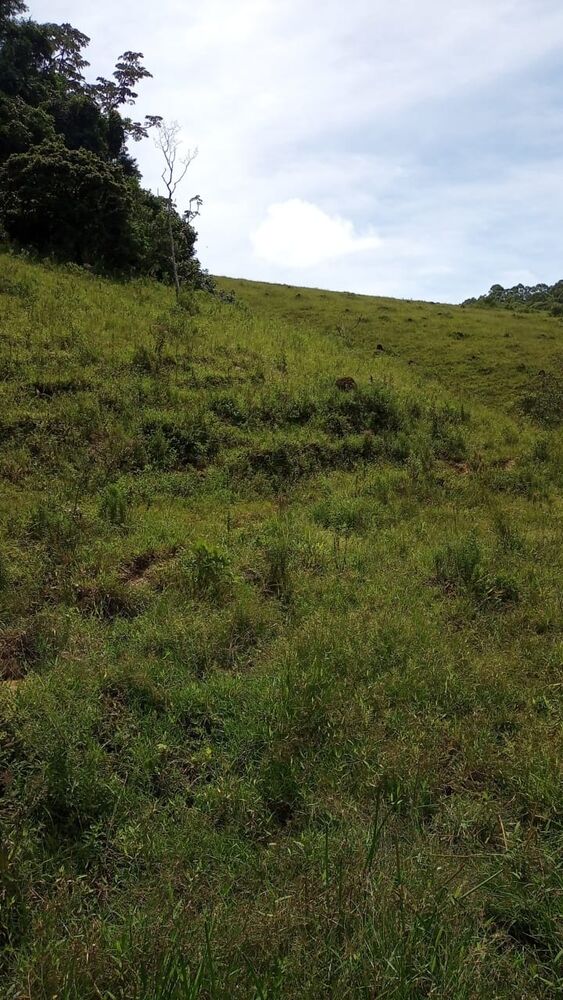 Sítio, 4 m² - Foto 14