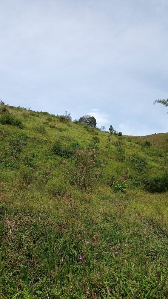 Sítio, 4 m² - Foto 9