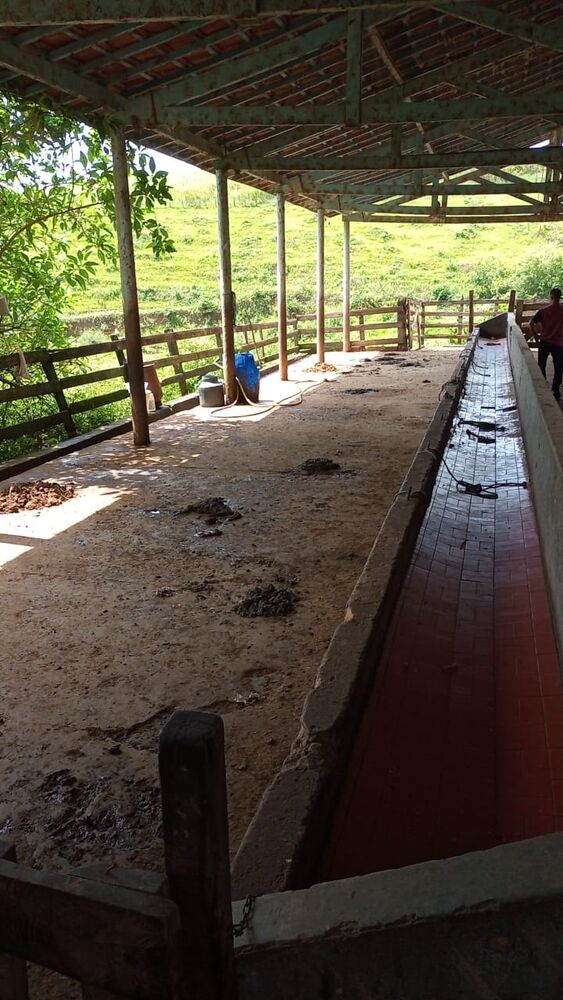 Sítio, 4 m² - Foto 16