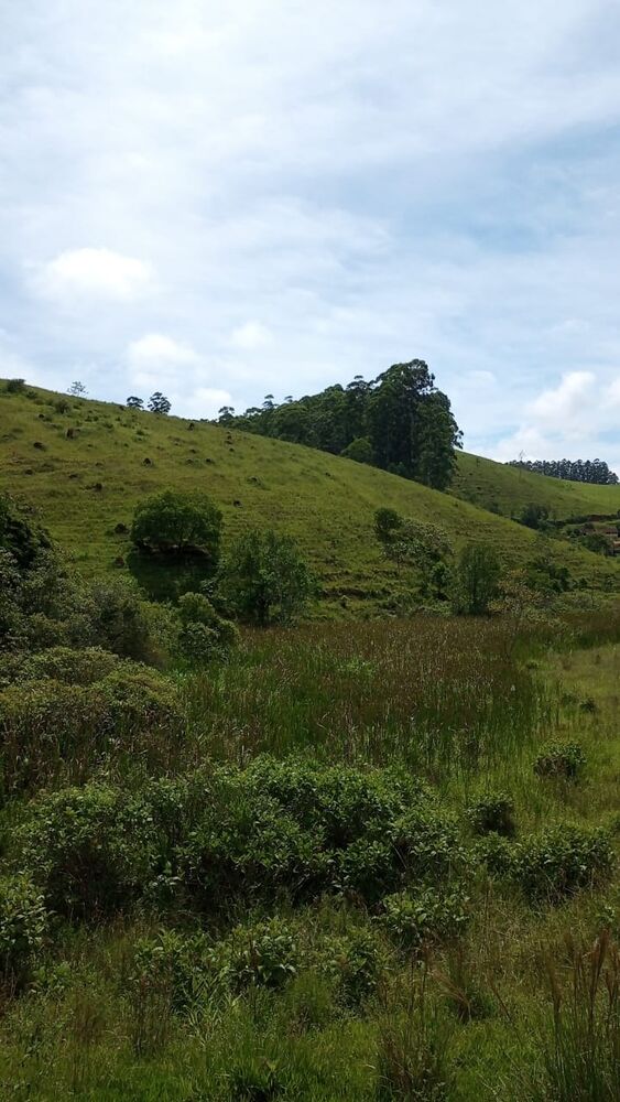 Sítio, 4 m² - Foto 10