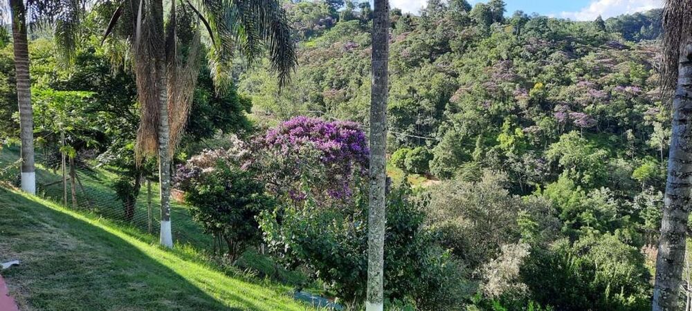 Chácara à venda com 3 quartos, 5560m² - Foto 2