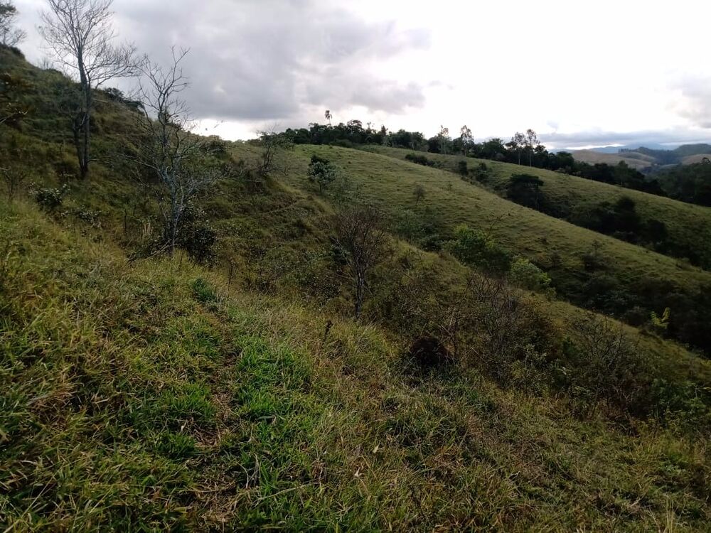 Haras e Área Rural Padrão à venda, 7m² - Foto 5