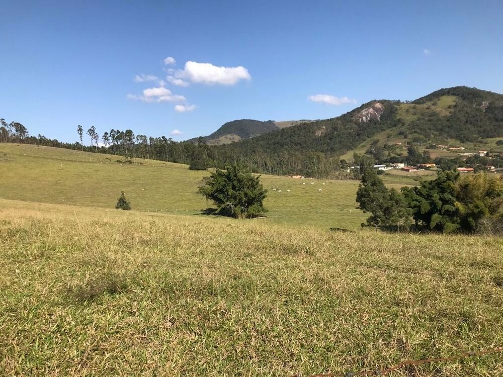 Haras e Área Rural Padrão à venda, 5987m² - Foto 2