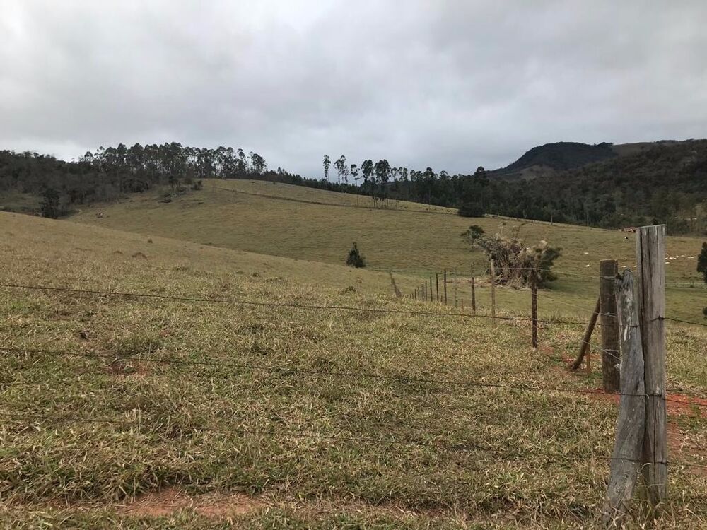 Haras e Área Rural Padrão à venda, 5987m² - Foto 3