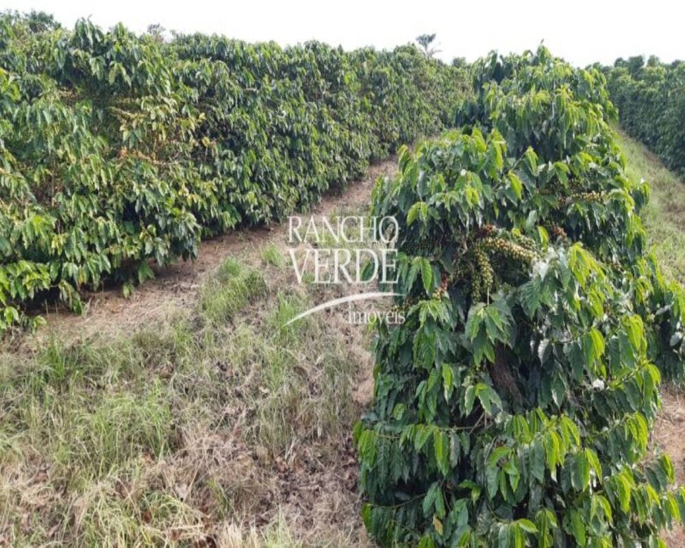 Fazenda, 303 hectares - Foto 2