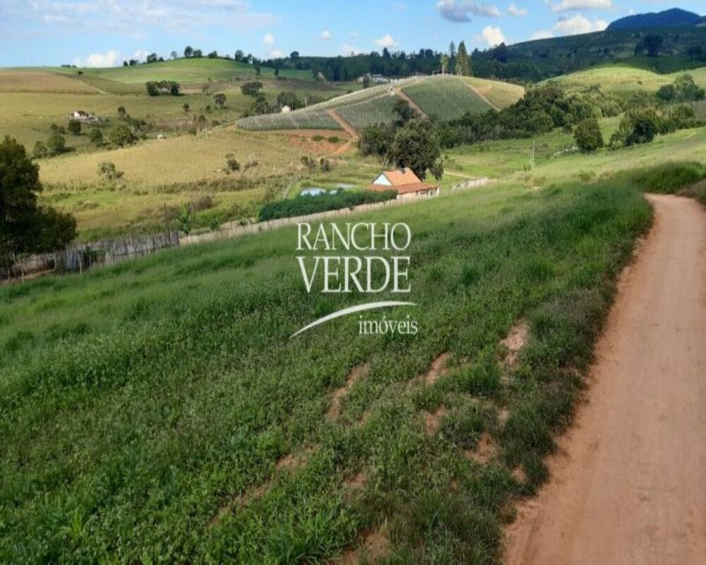 Fazenda, 303 hectares - Foto 3