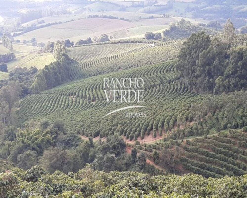 Fazenda, 303 hectares - Foto 4