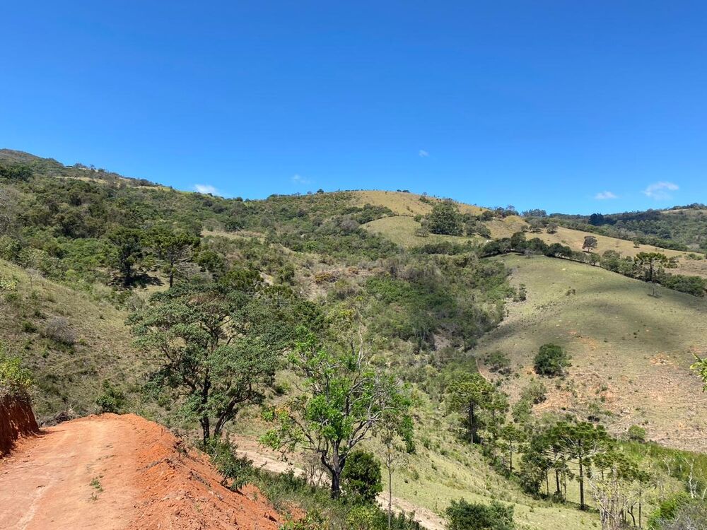 Haras e Área Rural Padrão à venda, 11m² - Foto 1