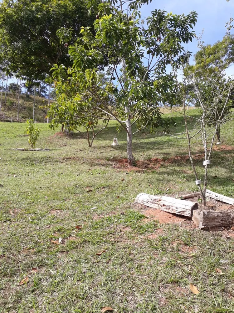 Fazenda à venda com 2 quartos, 12000m² - Foto 3