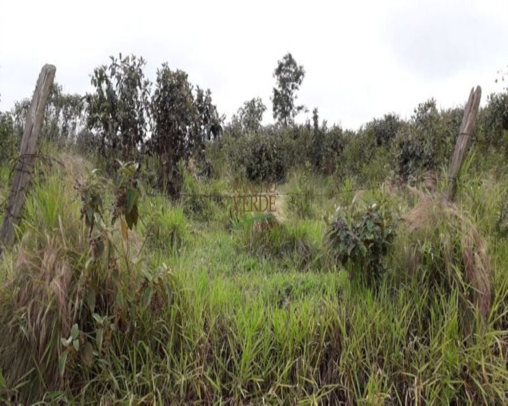 Haras e Área Rural Padrão à venda, 20000m² - Foto 2
