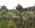 Fazenda, 2 hectares - Foto 1