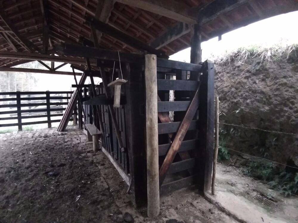 Sítio, 2 quartos, 6 m² - Foto 6