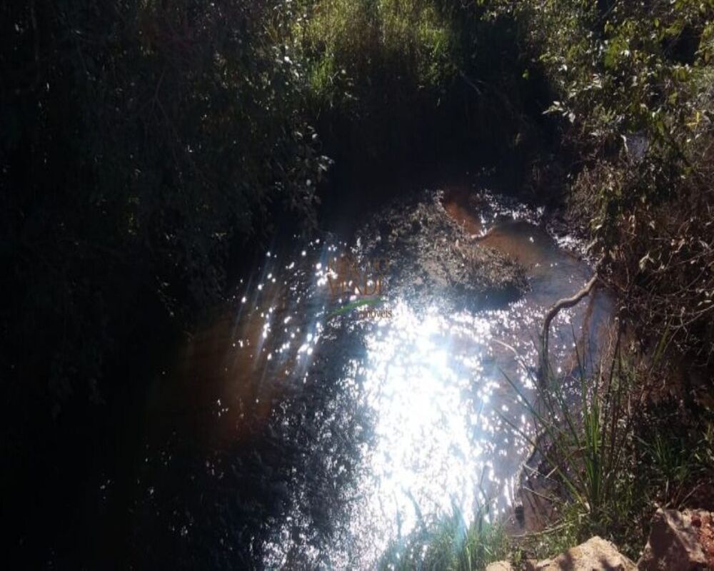 Fazenda, 320 hectares - Foto 2