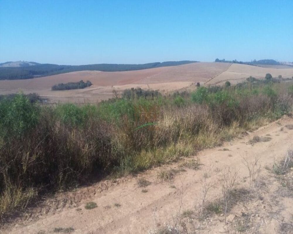 Fazenda, 320 hectares - Foto 3