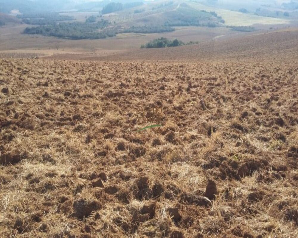 Fazenda, 320 hectares - Foto 6