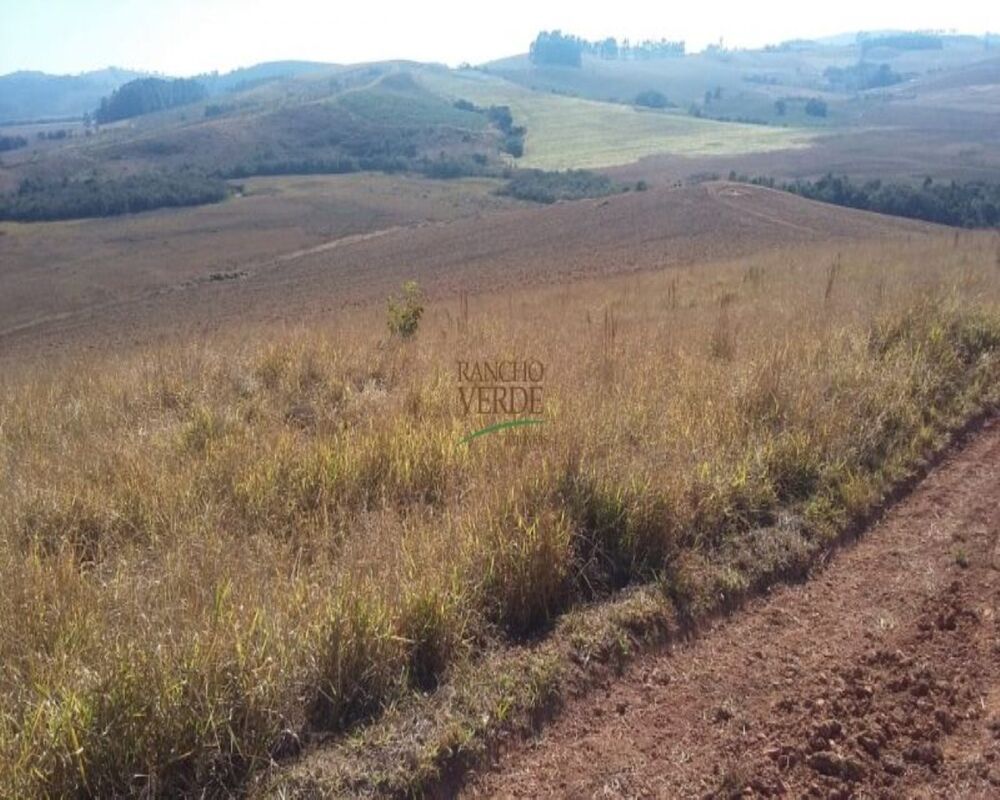 Fazenda, 320 hectares - Foto 5