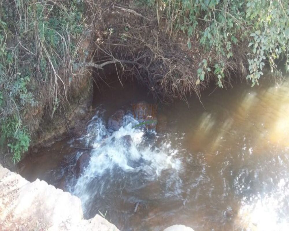 Fazenda, 320 hectares - Foto 4