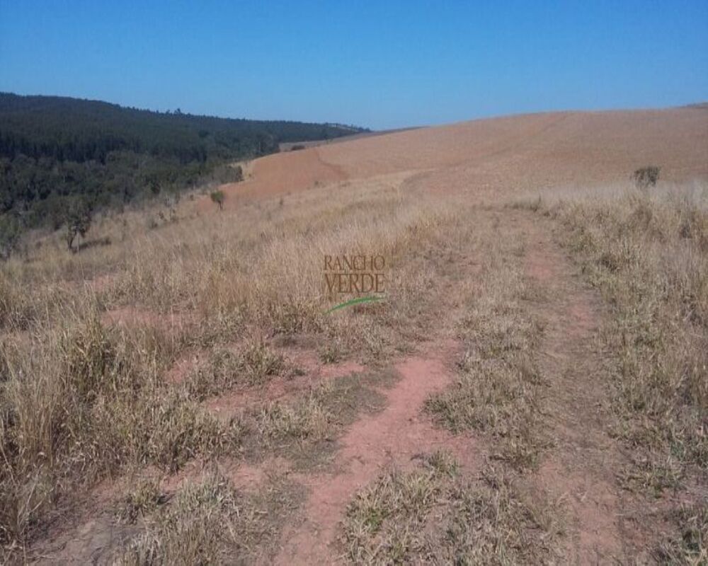 Fazenda, 320 hectares - Foto 8