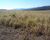 Fazenda, 320 hectares - Foto 1